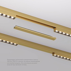 Заглушка Denkirs Shine Base TR5736-SB 4