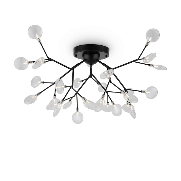 Потолочная люстра Freya Florencia FR5049CL-27B изображение 1 Потолочная люстра Freya Florencia FR5049CL-27B Фото № 1