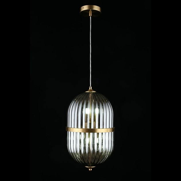 Подвесной светильник Aployt Ludovica APL.860.06.06 Фото № 9