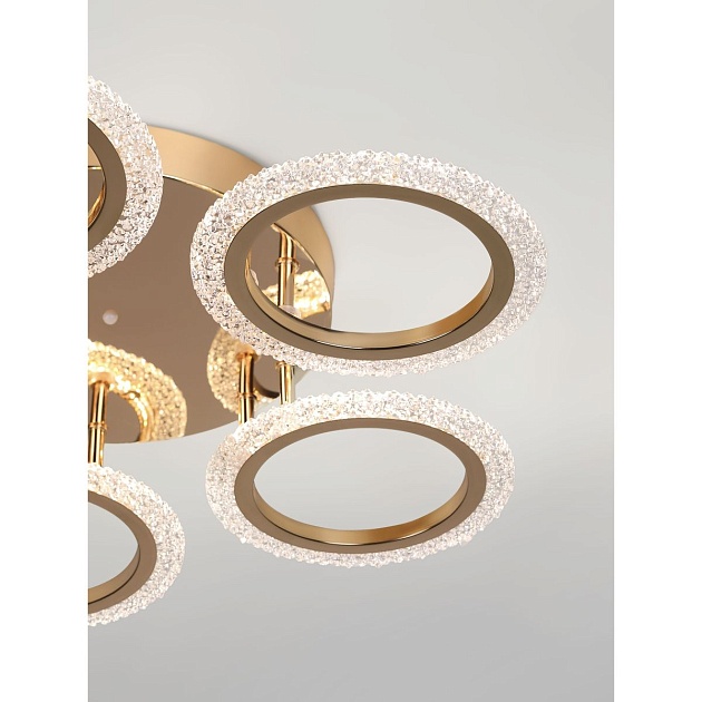 Потолочная светодиодная люстра Rivoli Evlalia 6178-733 Б0068423 Фото № 18