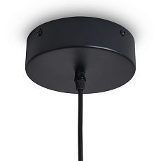 Подвесной светодиодный светильник Freya True FR6181PL-L9B 1