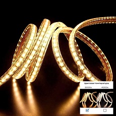 Светодиодная лента ST Luce ST1001.314.65 2