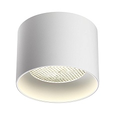 Светильник накладной Novotech GEMINI 371009 1