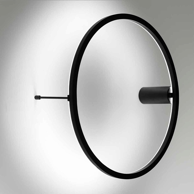 Настенный светодиодный светильник Odeon Light Omen 4386/24WL Фото № 3