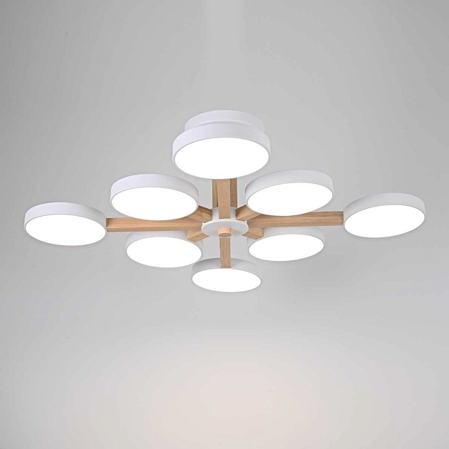 Потолочный светильник Imperium Loft TURNA-B01 228849-26 изображение 6 Потолочный светильник Imperium Loft TURNA-B01 228849-26 Фото № 6