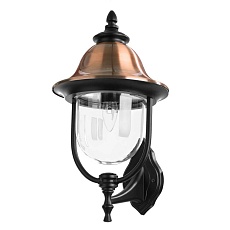 Уличный настенный светильник Arte Lamp Barcelona A1481AL-1BK