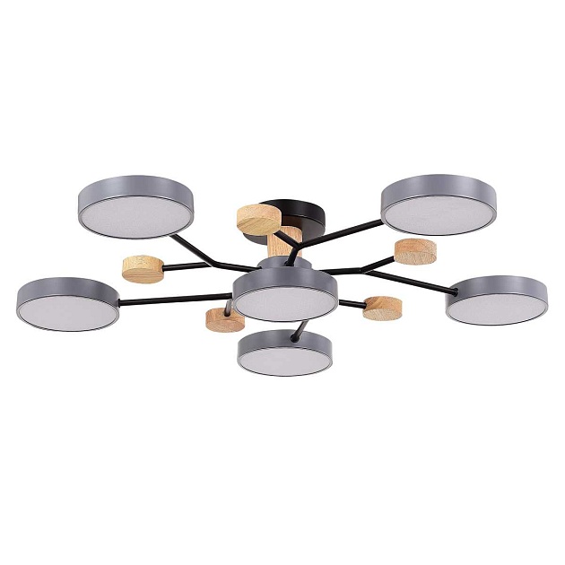 Потолочная светодиодная люстра Evoluce FAEMA SLE6006-702-06 изображение 5 Потолочная светодиодная люстра Evoluce FAEMA SLE6006-702-06 Фото № 5