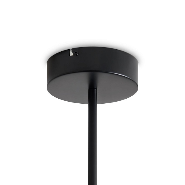 Потолочная светодиодная люстра Freya Arch FR6178CL-L30B Фото № 2