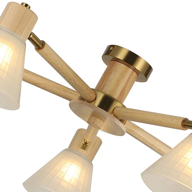 Потолочная люстра Arte Lamp Meleph A4096PL-5BR Фото № 6