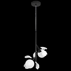 Подвес Ceramo BW Lightstar 799027 2