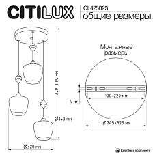 Подвесной светильник Citilux Nort CL475023 1