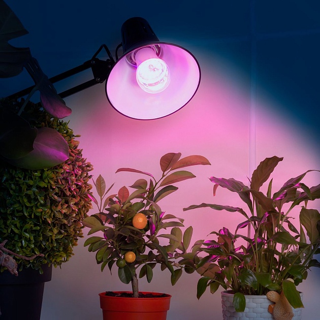 Лампа светодиодная для растений ЭРА E27 10W 1310K прозрачная Fito-10W-RB-E27 Б0050600 фото 6