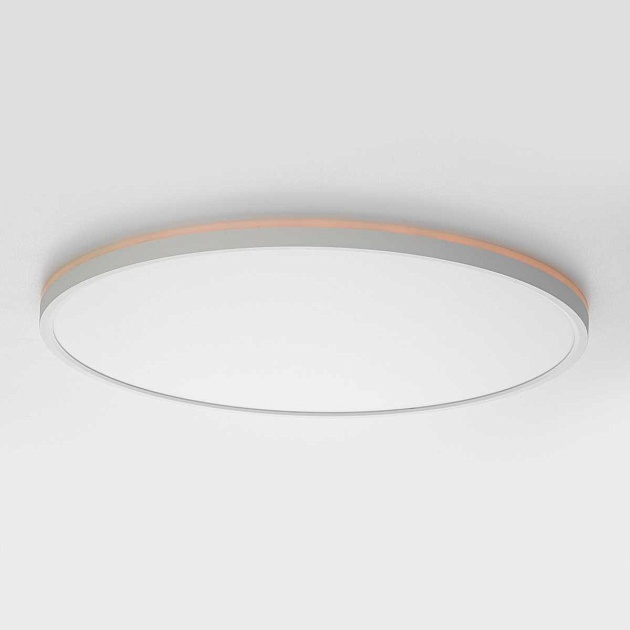 Потолочный светильник Citilux NORMA CL749500 Фото № 2