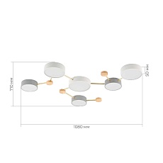 Потолочный светильник Evoluce DOSSENA SLE600102-06 4