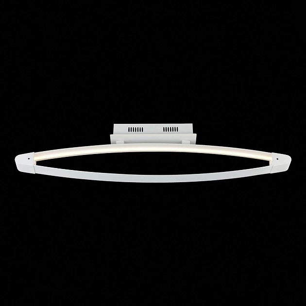 Потолочный светодиодный светильник ST Luce SL920.102.01 фото 2