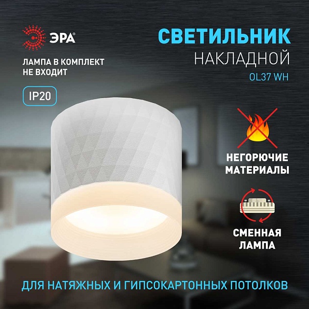 Настенно-потолочный светильник ЭРА OL37 WH Б0056385 изображение 8 Настенно-потолочный светильник ЭРА OL37 WH Б0056385 Фото № 8
