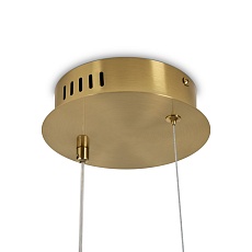 Подвесной светодиодный светильник Freya Eclat FR6182PL-L14BS 2