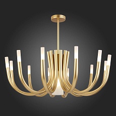 Потолочная люстра ST Luce Pafe SL1173.202.13 1