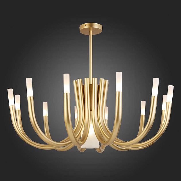 Потолочная люстра ST Luce Pafe SL1173.202.13 Фото № 2