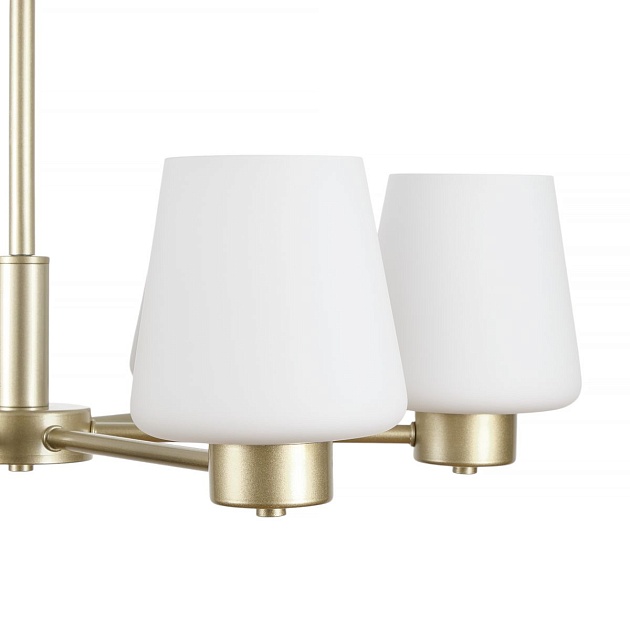 Подвесная люстра MyFar Mark MR2341-6P изображение 3 Подвесная люстра MyFar Mark MR2341-6P Фото № 3