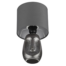 Настольная лампа Lumion Moderni 8147/1T 2