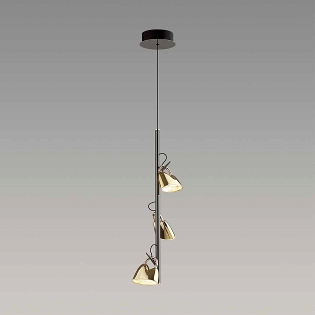 Подвесная светодиодная люстра Odeon Light Malpa 5002/13L Фото № 2