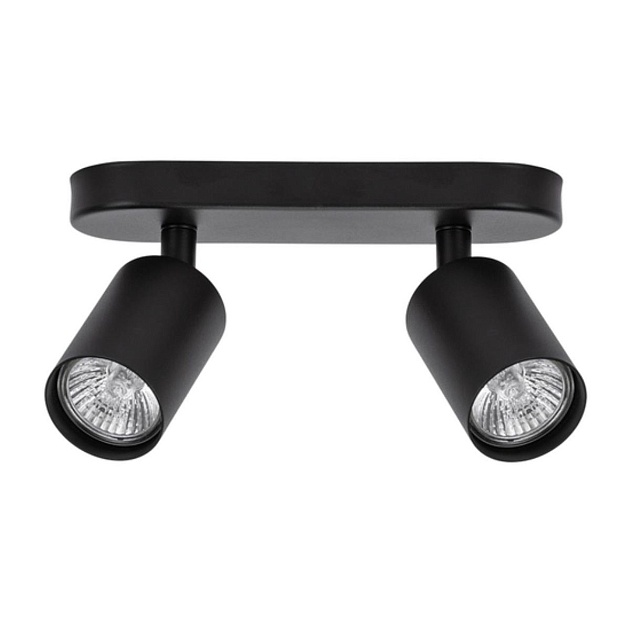 Спот Arte Lamp Aquarius A3226PL-2BK Фото № 1