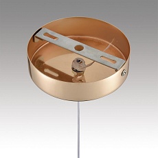 Подвесной светодиодный светильник Lumion Ledio Rimini 8083/1A 3