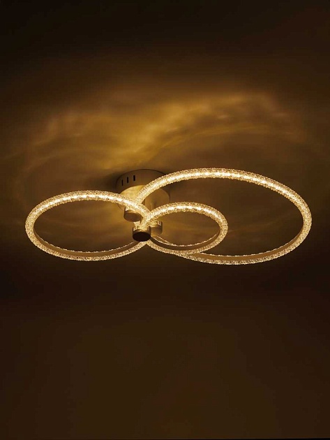 Потолочная светодиодная люстра Rivoli Immakoleta 6175-703 Б0068343 Фото № 19
