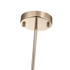 Подвесная люстра ST Luce Elegra SL1402.203.10 2
