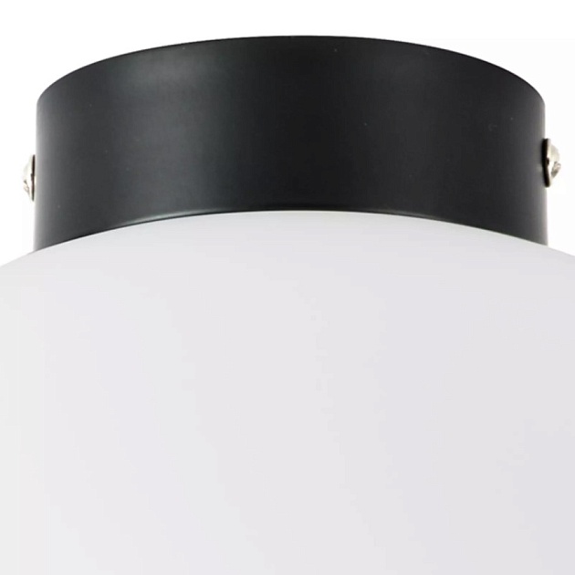 Настенно-потолочный светильник Lightstar Globo 812037 Фото № 2