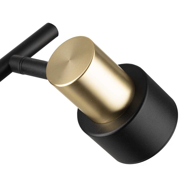 Спот поворотный Citilux SAT CL505621 изображение 11 Спот поворотный Citilux SAT CL505621 Фото № 11