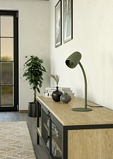 Настольная лампа Eglo Carlo 901831 2