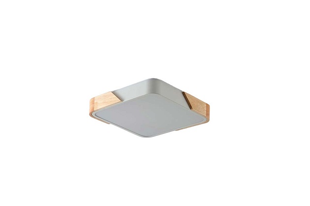 Потолочный светильник Zortes ALBERRO ZRS.01285.48 изображение 2 Потолочный светильник Zortes ALBERRO ZRS.01285.48 Фото № 2