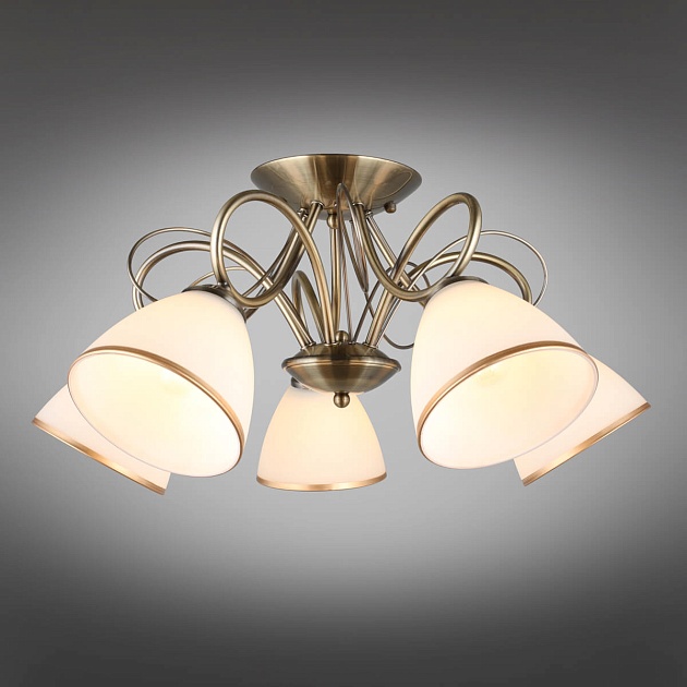 Потолочная люстра Omnilux Alimini OML-25307-05 Фото № 6