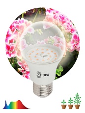 Лампа светодиодная для растений ЭРА E27 11W 2150K прозрачная FITO-11W-Ra90-E27 Б0039172 4