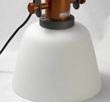 Подвесной светильник Lussole Loft GRLSP-9846 2