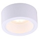 Потолочный светильник Arte Lamp Effetto A5553PL-1WH ⚡ - купить с ...