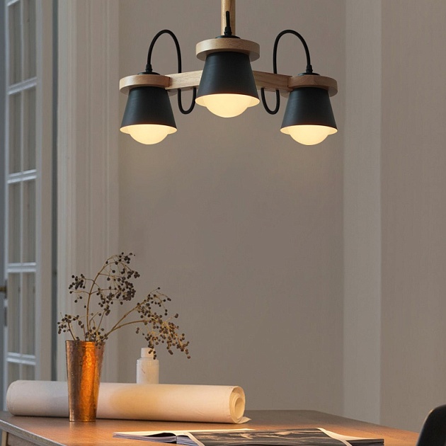 Потолочная люстра Imperium Loft Natura 178086-26 Фото № 4