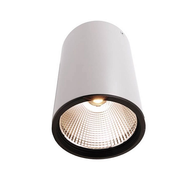 Накладной светильник Deko-Light Luna 30 348059 изображение 1 Накладной светильник Deko-Light Luna 30 348059 Фото № 1