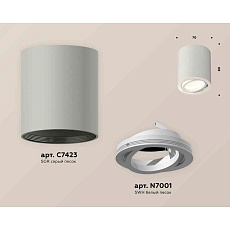 Комплект накладного светильника Ambrella light Techno Spot XS7423020 SGR/SWH серый песок/белый песок (C7423, N7001) 1