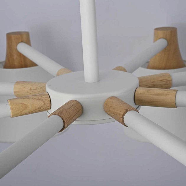 Подвесная люстра Imperium Loft Natura 177988-26 изображение 9 Подвесная люстра Imperium Loft Natura 177988-26 Фото № 9