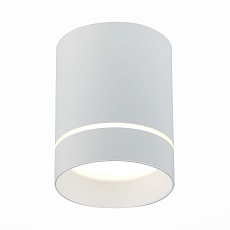 Потолочный светодиодный светильник ST Luce ST115.542.12