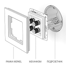 Акустическая розетка Werkel х4 шампань W1185011 4690389157523 1