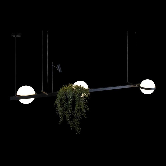 Подвесной светильник LOFT IT Jardin 10121/C Фото № 4