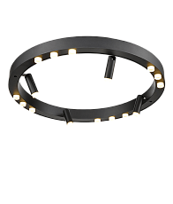 Потолочный светильник Vele Luce Satellite VL7172L12 5