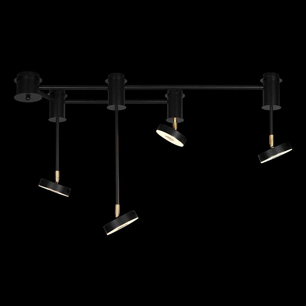Потолочный светильник LOFT IT Flock 10189/1000 изображение 3 Потолочный светильник LOFT IT Flock 10189/1000 Фото № 3