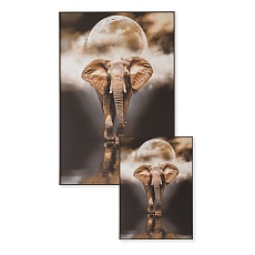 Картина Lumina Deco FP Elephant 80-120 1