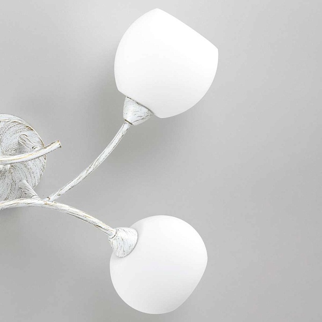 Потолочная люстра Citilux Флорида CL148140 изображение 3 Потолочная люстра Citilux Флорида CL148140 Фото № 3