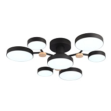 Потолочный светильник LED4U L3201-700 BK 1